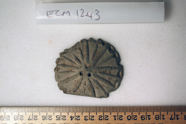 ECM.1243-2010-A image ECM.1243-2010-A