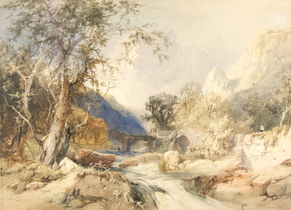 FDA-D.421-2010 image FDA-D.421-2010