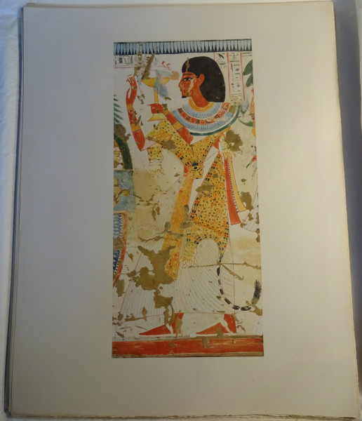 image FDA-E.3055_48-2018