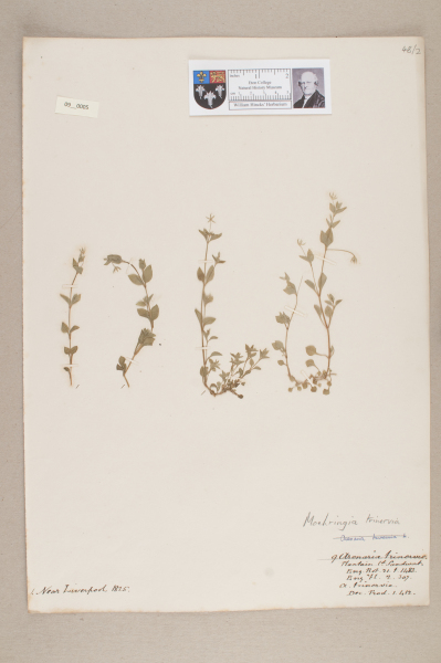 image NHM_HH_9.5-2010