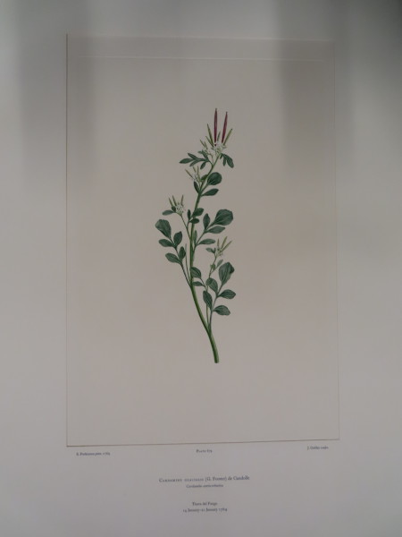 image FDA-E.2916_32_9-2016-A