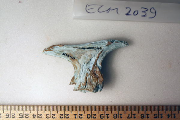 ECM.2039-2010-B image ECM.2039-2010-B