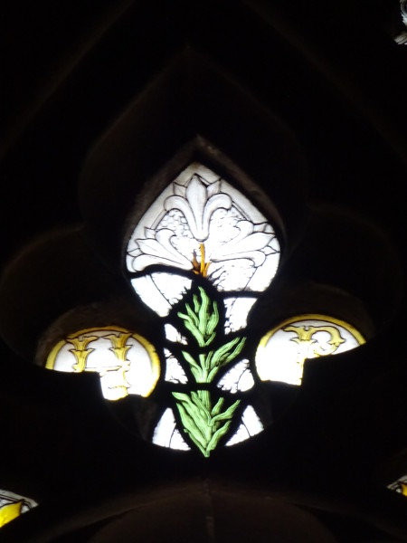 FDA-A.491_1_A1-2017-C image FDA-A.491_1_A1-2017-C