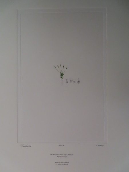 FDA-E.2916_10_18-2016 image FDA-E.2916_10_18-2016