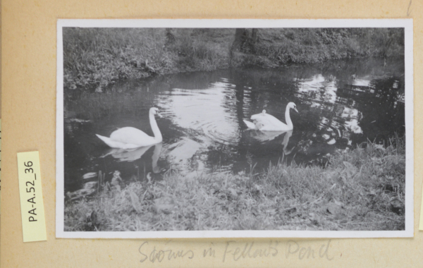 PA-A.52_36-2013 image PA-A.52_36-2013