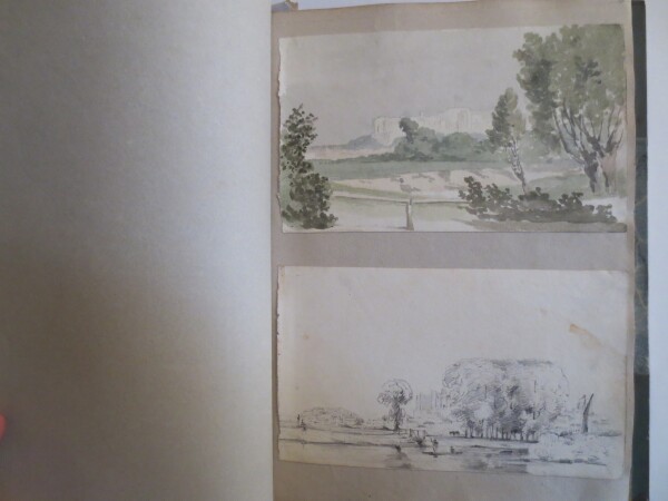 FDA-V.8-2016-Y image FDA-V.8-2016-Y