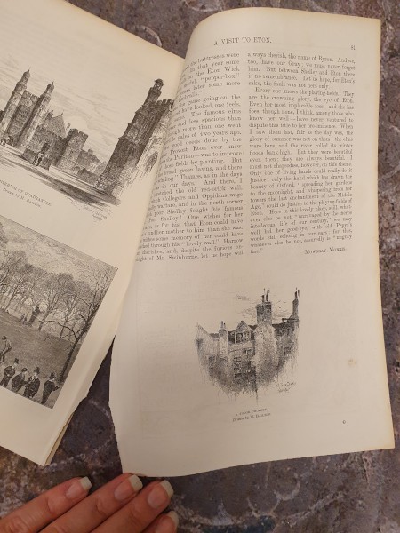 FDA-E.3238-2023-N image FDA-E.3238-2023-N