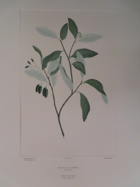 image FDA-E.2916_12_24-2016