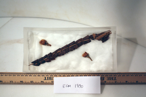 ECM.1890-2010 image ECM.1890-2010