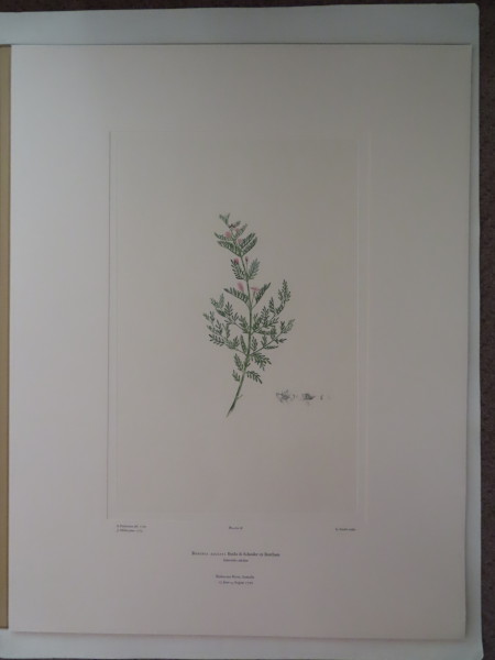 FDA-E.2916_2_9-2016 image FDA-E.2916_2_9-2016