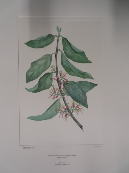 image FDA-E.2916_18_12-2016