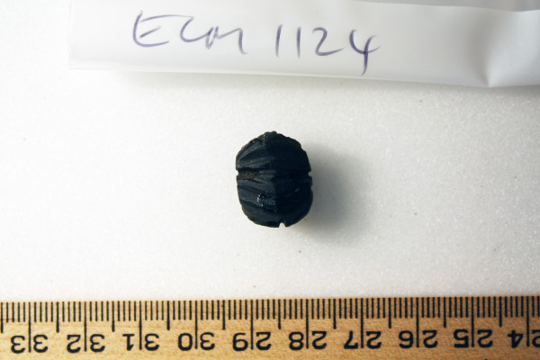 ECM.1124-2010-B image ECM.1124-2010-B