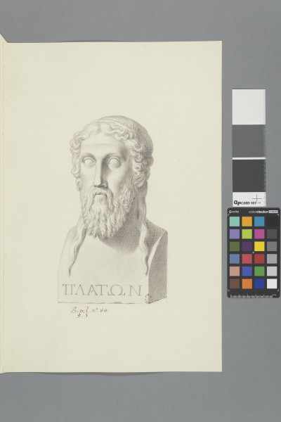 ECL-Bm.5_84-2012 image ECL-Bm.5_84-2012