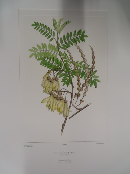 image FDA-E.2916_21_10-2016-A