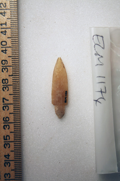 ECM.1174-2010-B image ECM.1174-2010-B