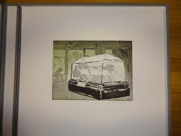 FDA-E.2958_2-2017 image FDA-E.2958_2-2017