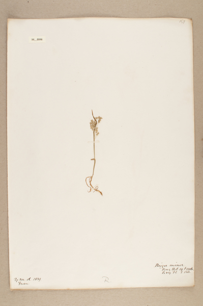 NHM_HH_34.46-2010 image NHM_HH_34.46-2010