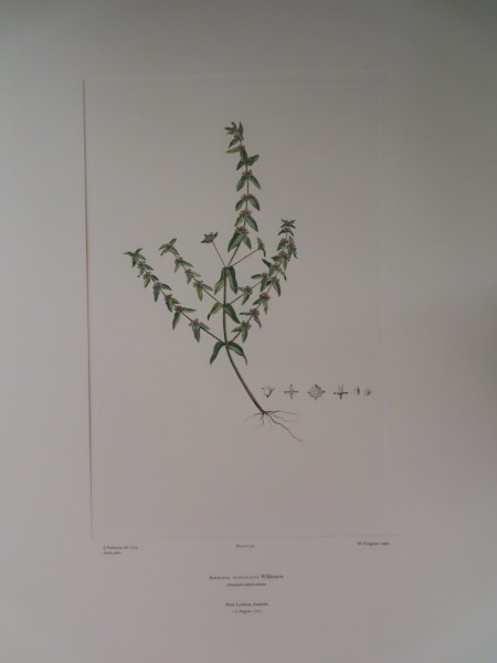 image FDA-E.2916_6_23-2016-A