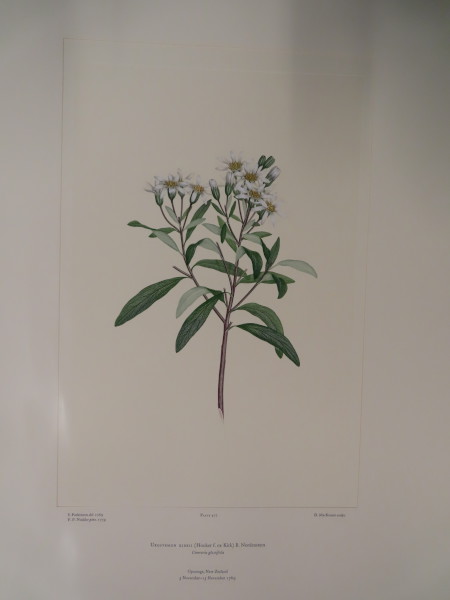 image FDA-E.2916_23_11-2016-A