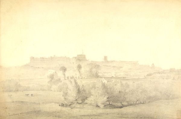 FDA-D.220-2010 image FDA-D.220-2010