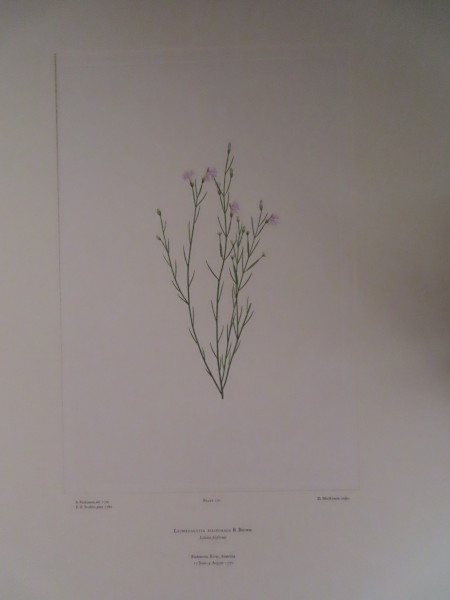 image FDA-E.2916_8_22-2016-A