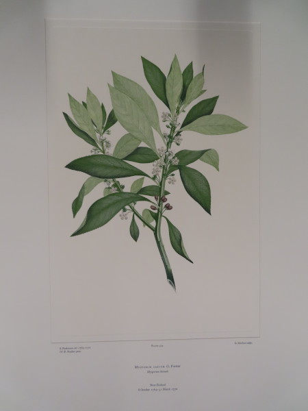 image FDA-E.2916_25_12-2016-A