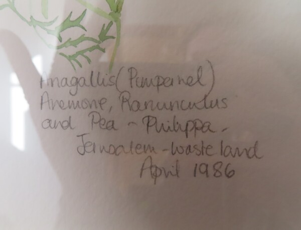 image FDA-D.1789-2026-B